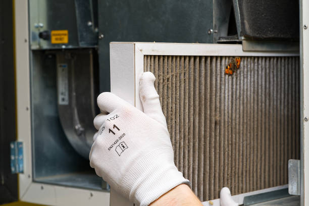 Best Air Quality Test  in Vonore, TN